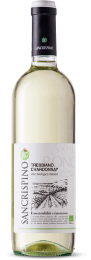 vino trebbiano chardonnay